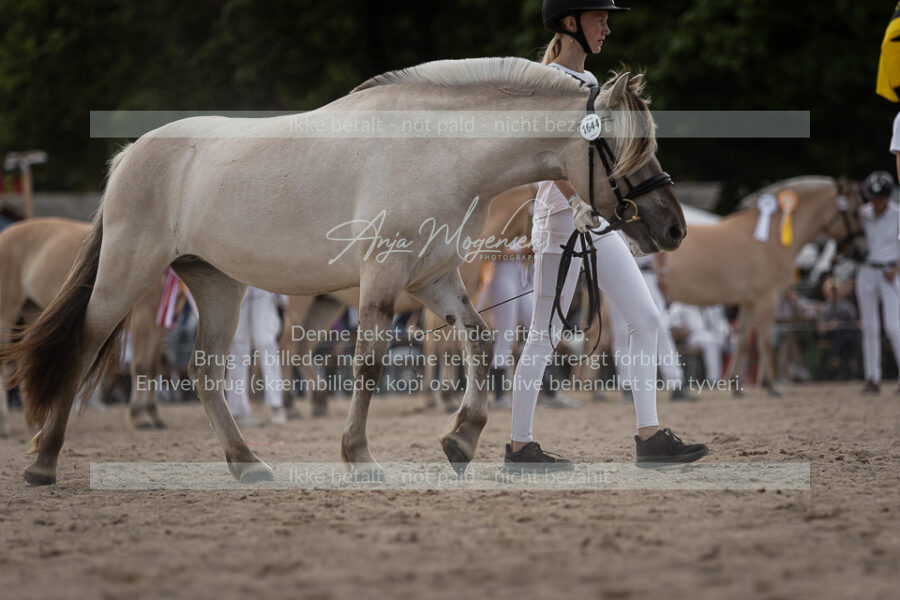 MG_7296-2
