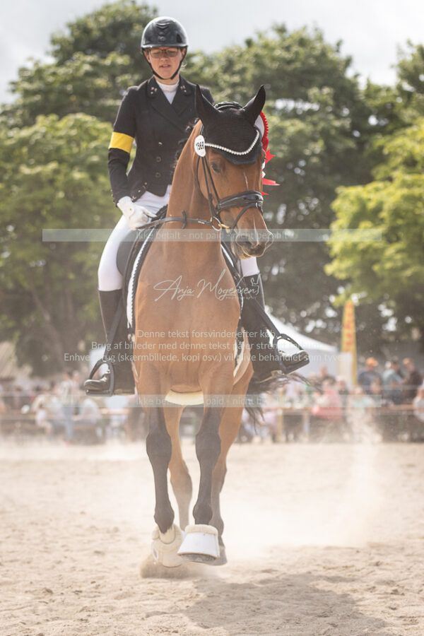 MG_6798-2