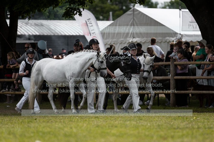 MG_5090-2