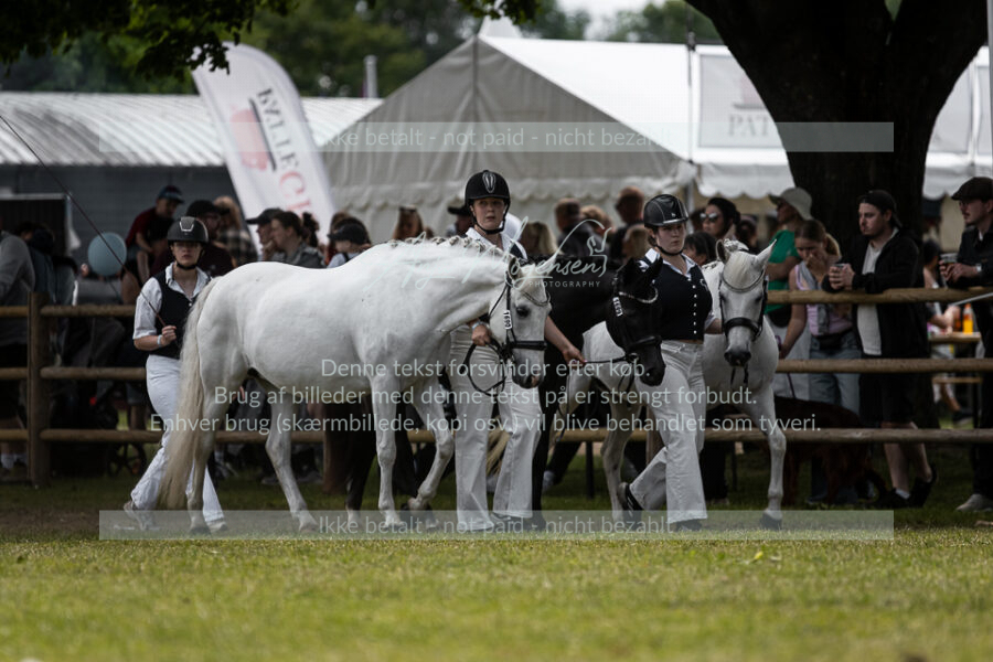 MG_5096-2