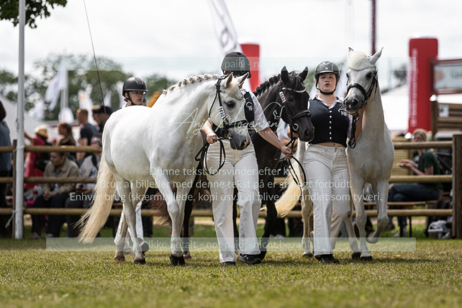 MG_5107-2