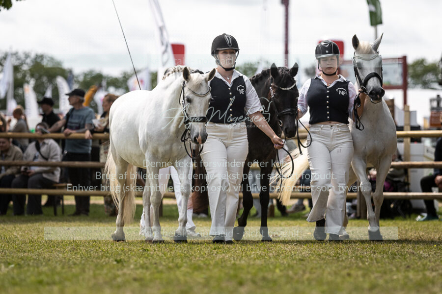 MG_5110-2
