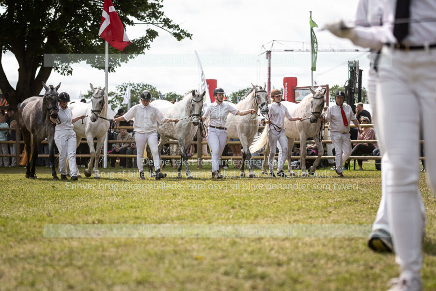 MG_5241-2