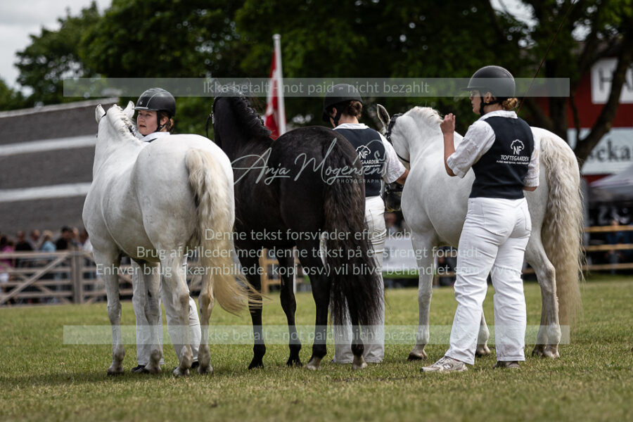 MG_5393-2