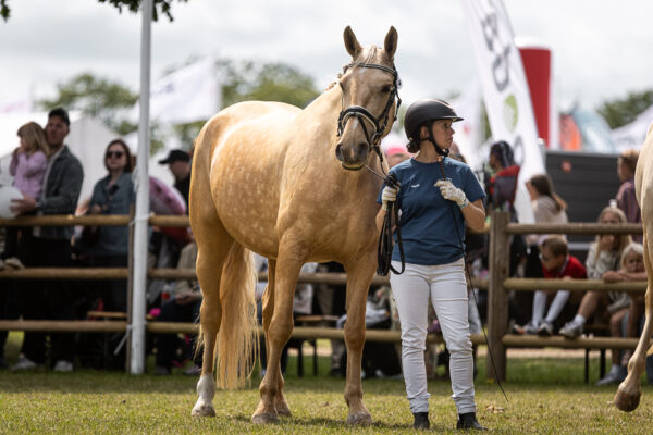 MG_5398-2