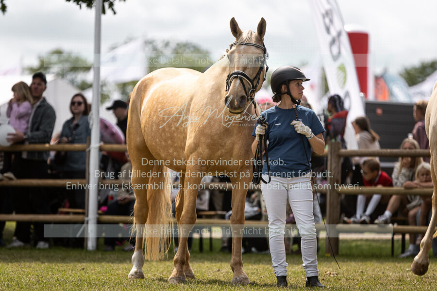 MG_5398-2