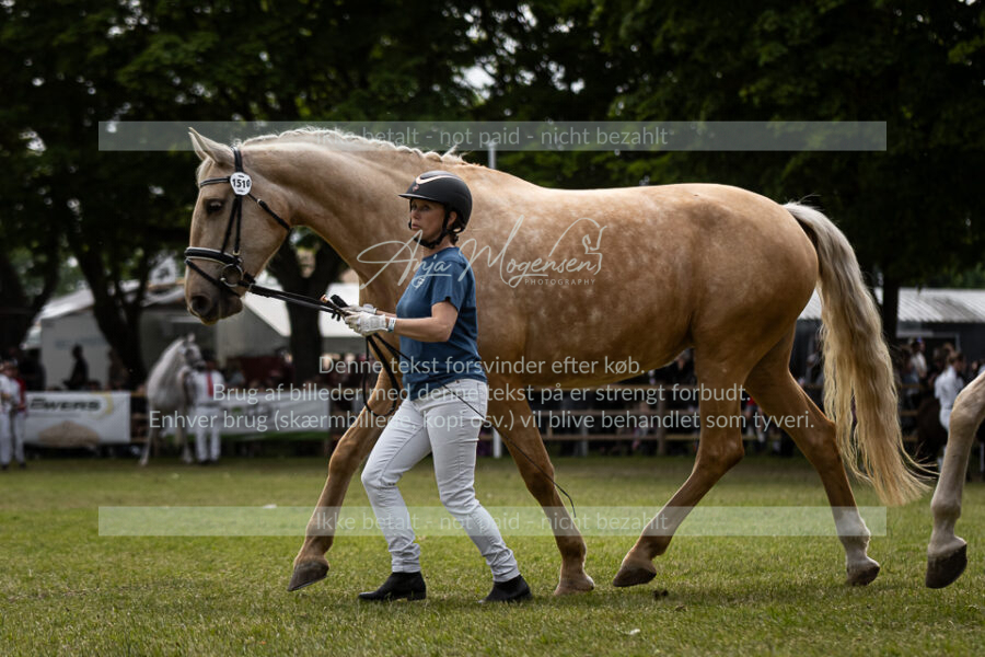 MG_5409-2