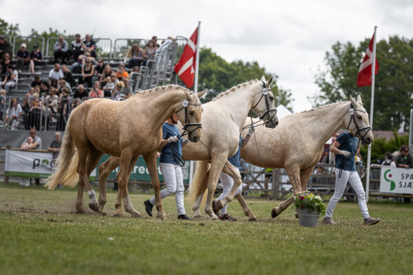 MG_5459-2