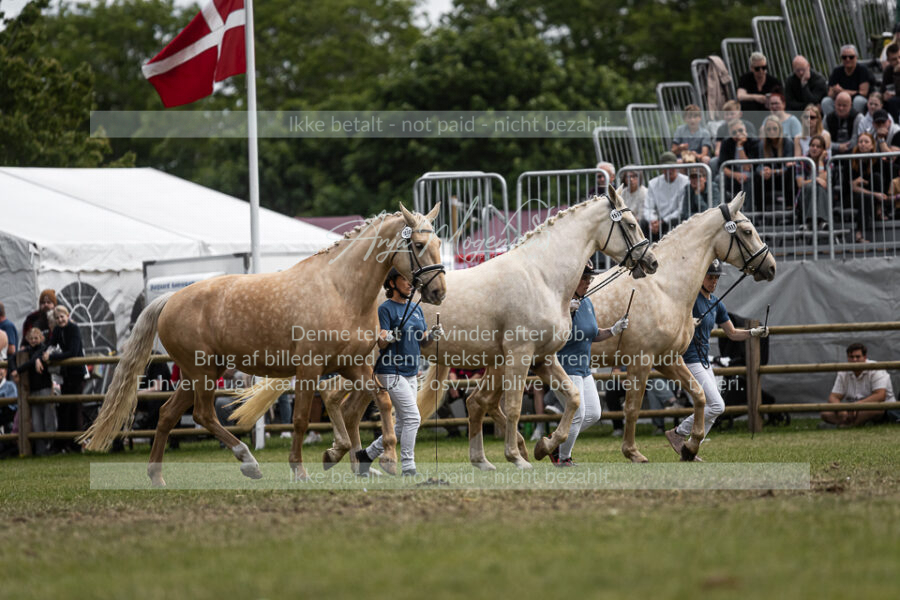 MG_5468-2