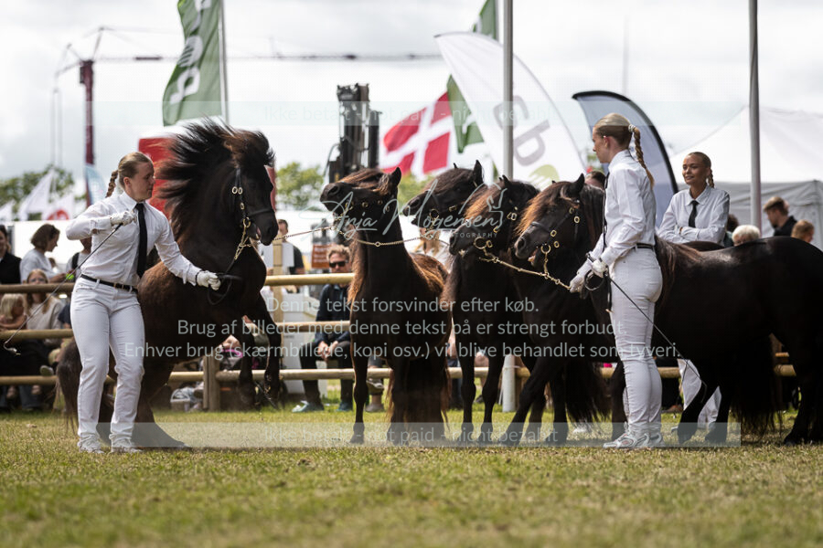 MG_5630-2