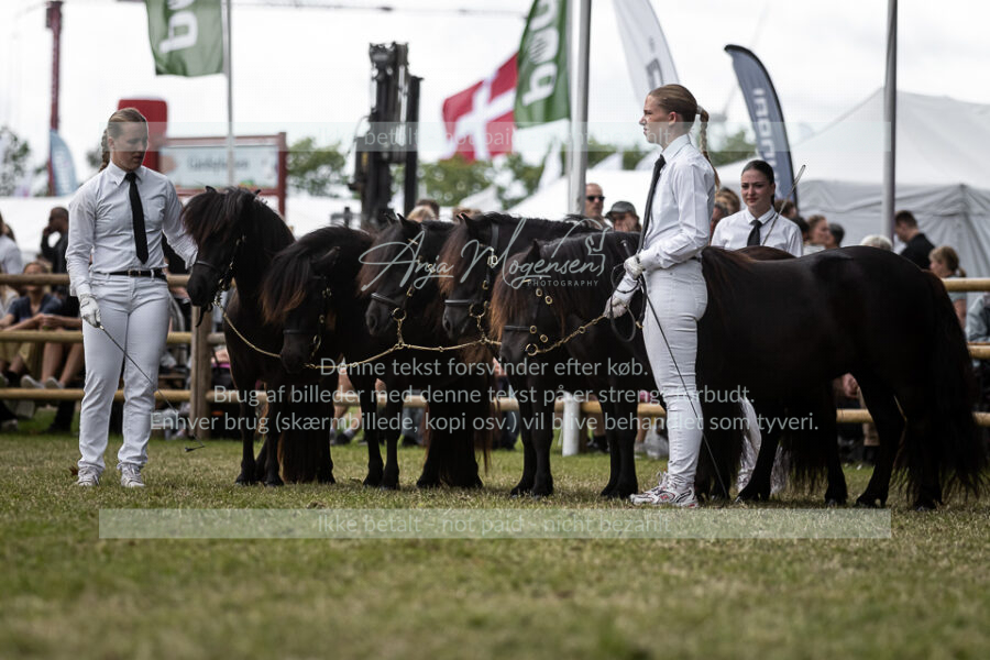 MG_5719-2