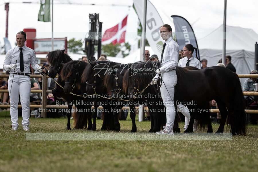 MG_5722-2