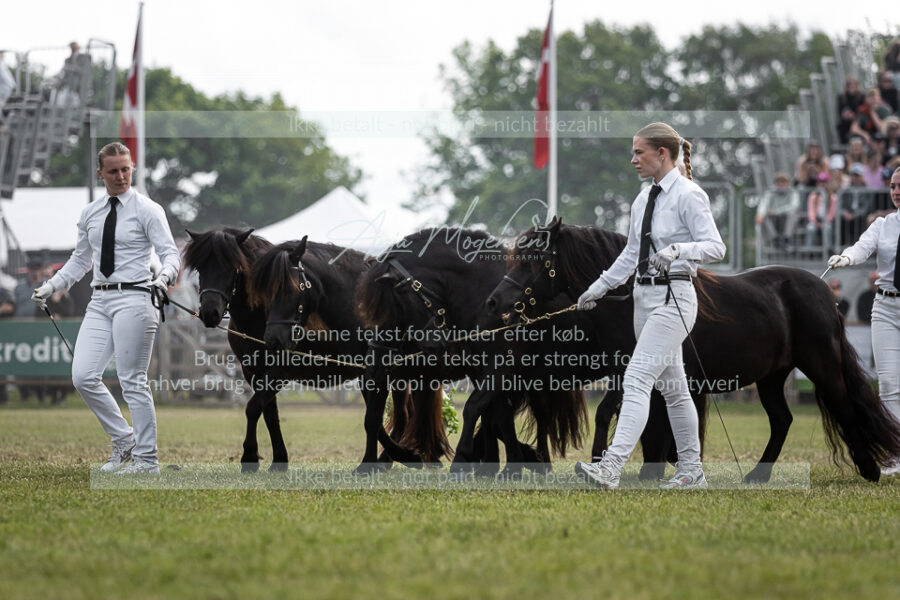 MG_5768-2