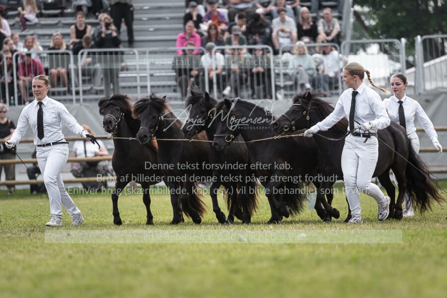 MG_5834-2