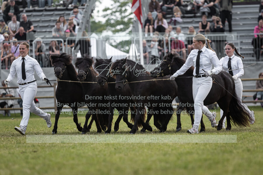 MG_5848-2
