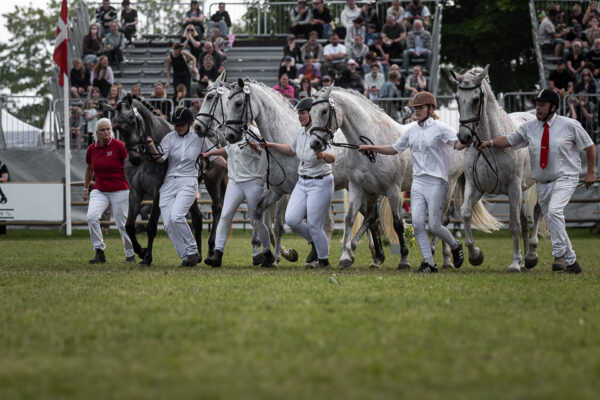 MG_5973-2