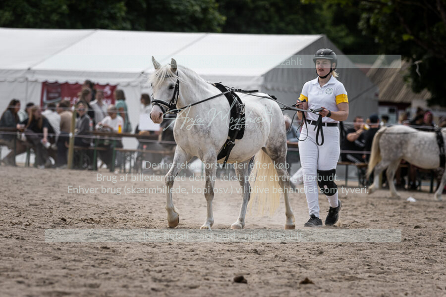 MG_6335-2