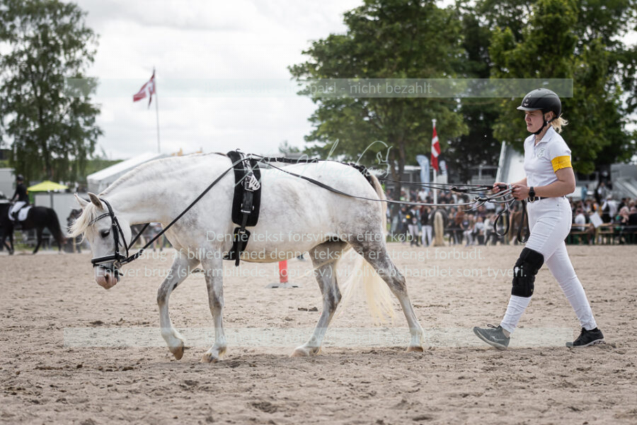MG_6364-2