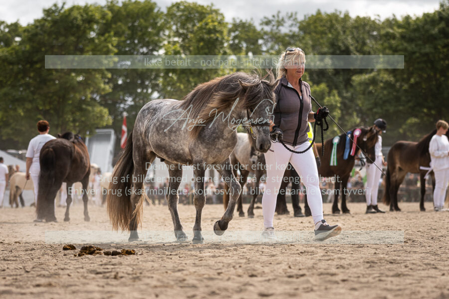MG_7380-2