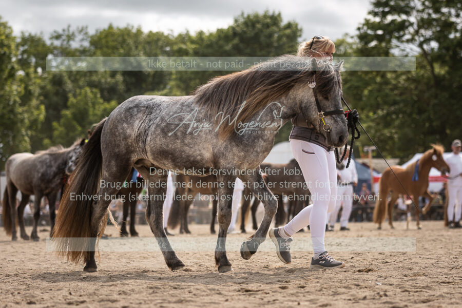 MG_7394-2