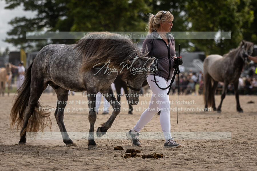 MG_7419-2