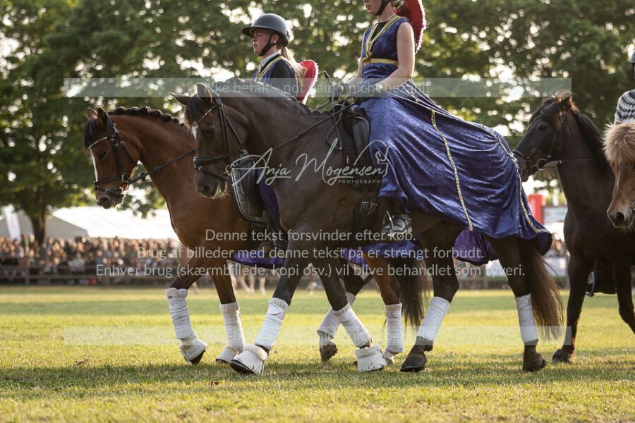 MG_1086