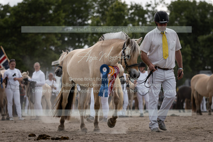 MG_7241-2