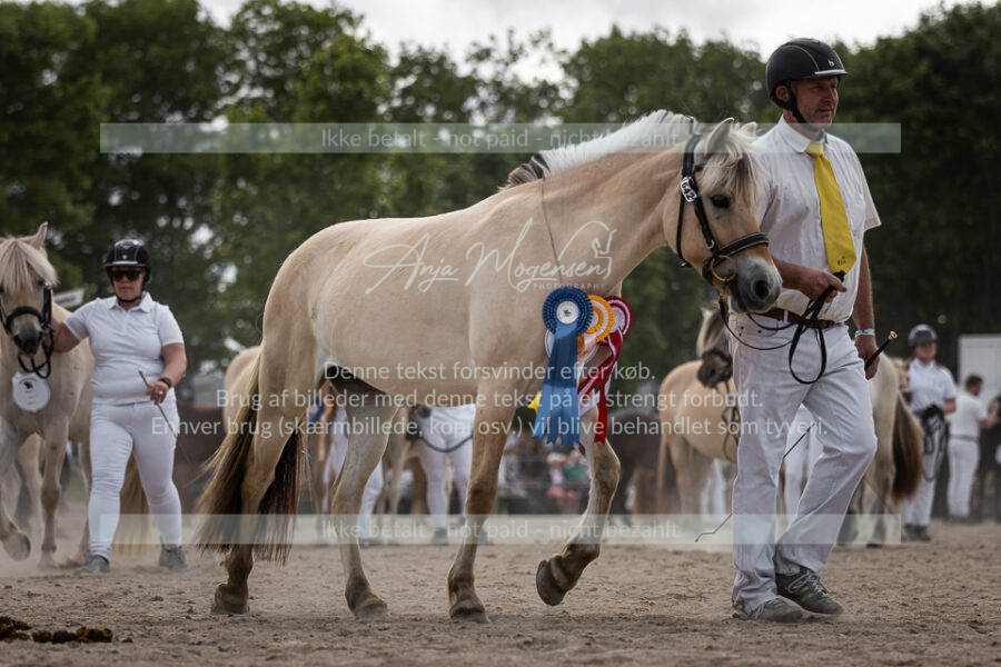 MG_7246-2
