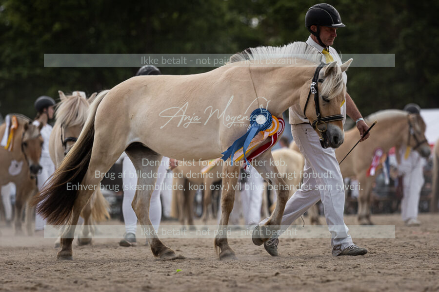 MG_7275-2