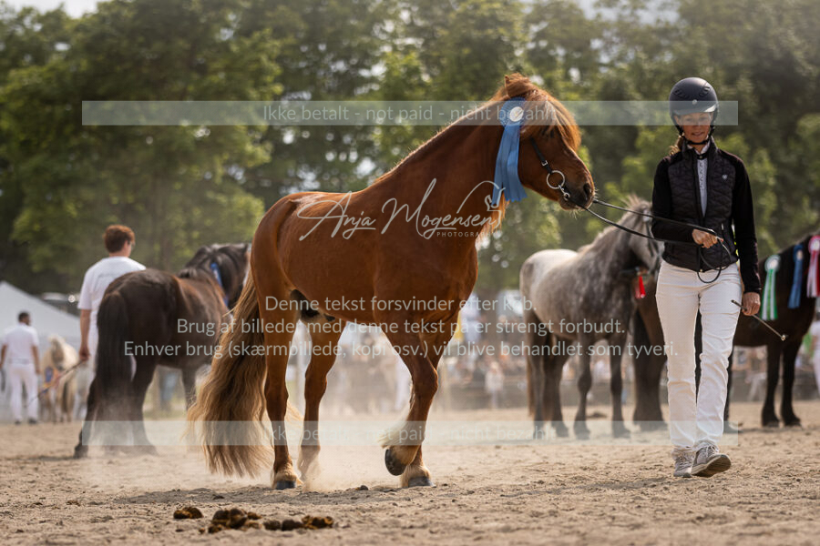 MG_7355-2