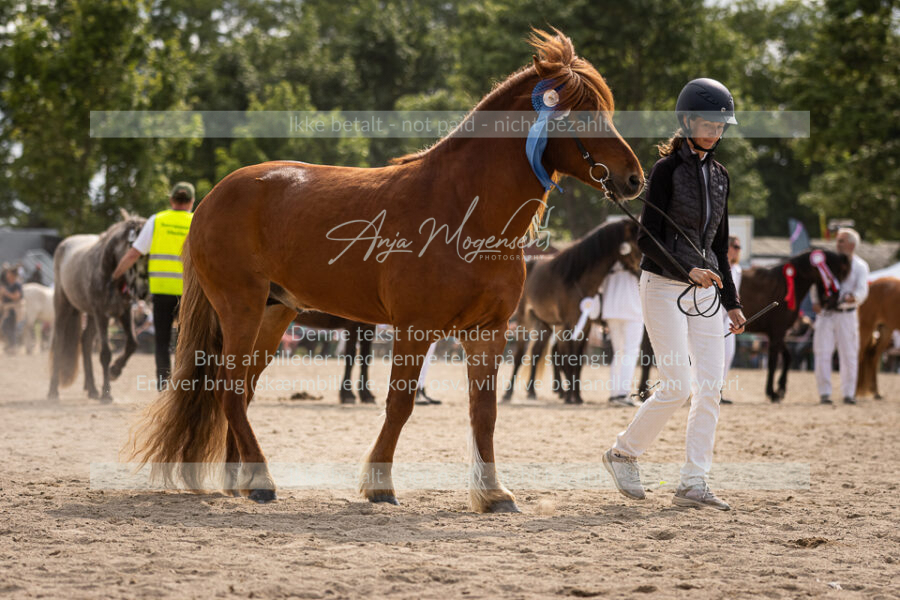 MG_7409-2