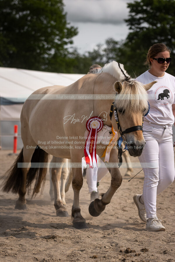 MG_7072-2