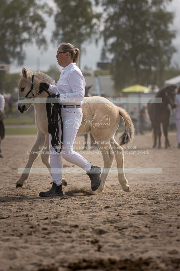 MG_7193-2