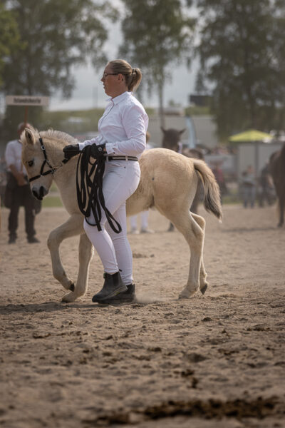 MG_7195-2