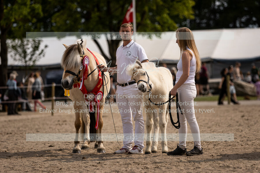 MG_6896-2