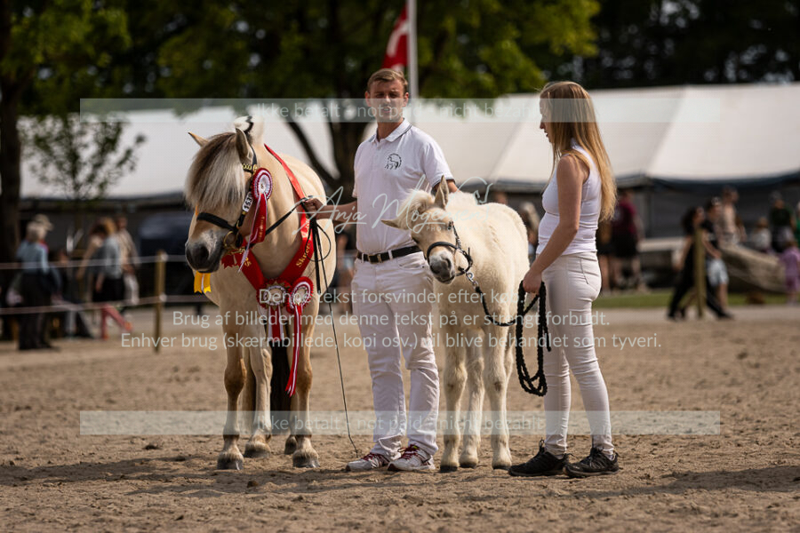 MG_6897-2