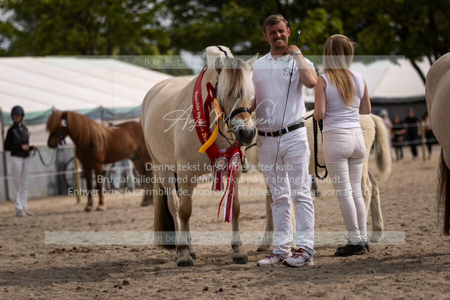 MG_6940-2