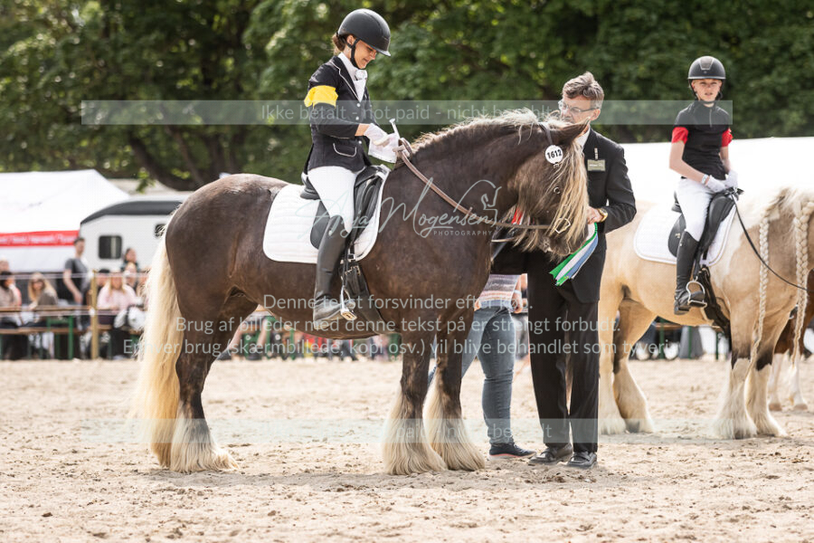 MG_6605-2