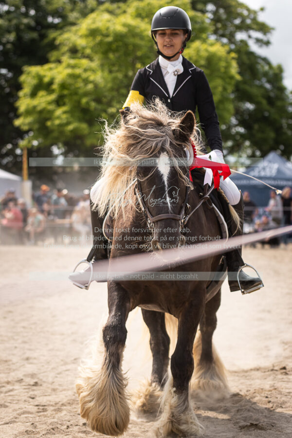MG_6779-2