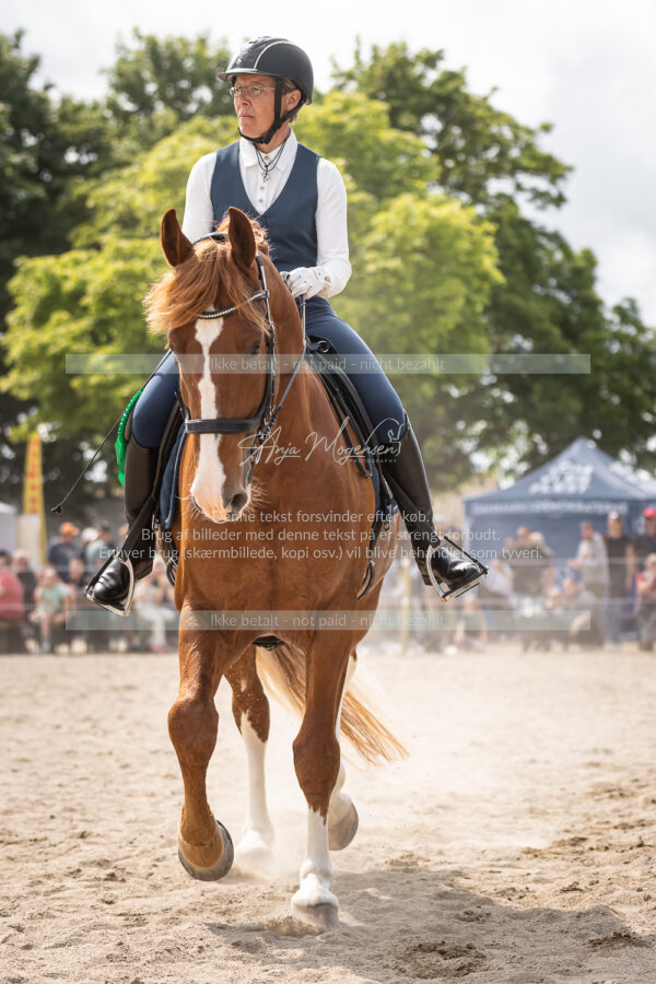 MG_6791-2