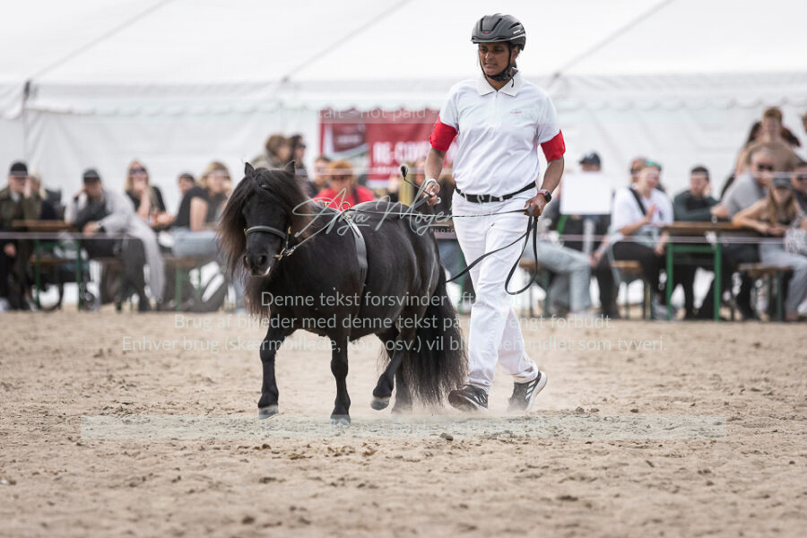 MG_6210-2