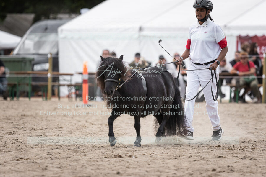 MG_6221-2