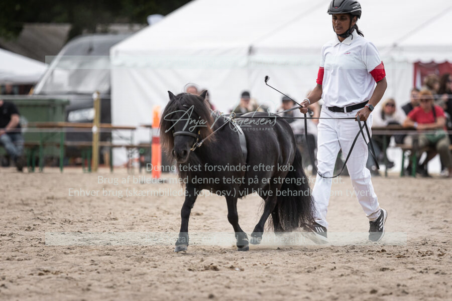MG_6222-2