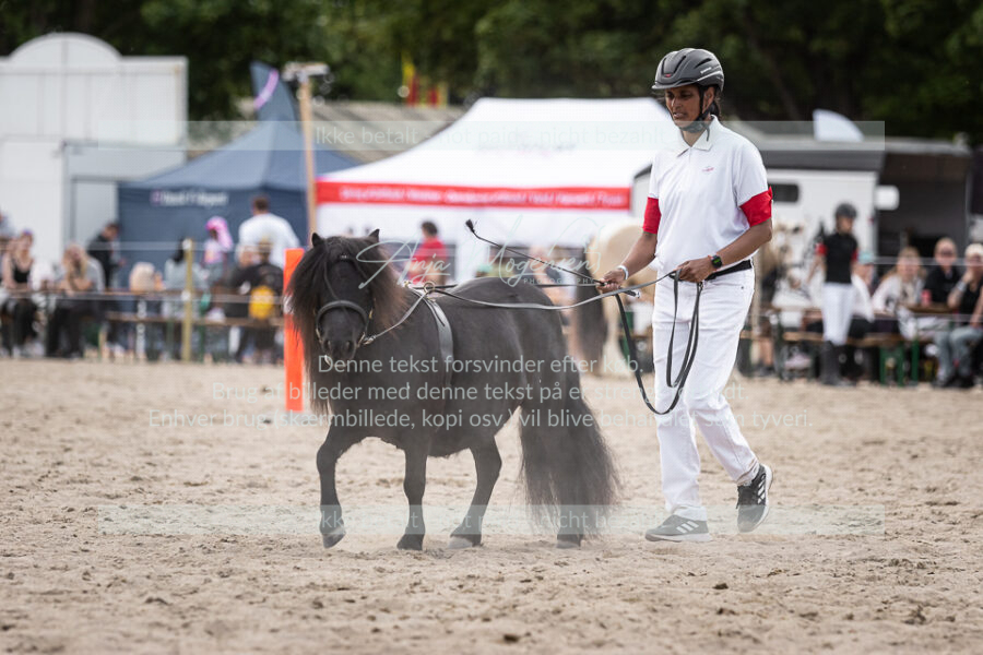 MG_6238-2