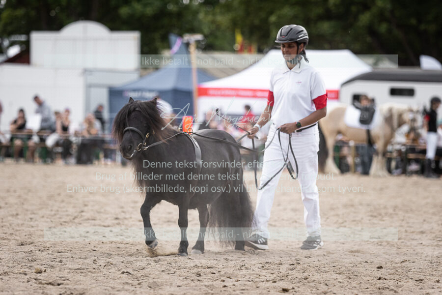 MG_6244-2