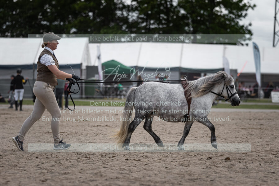 MG_6097-2