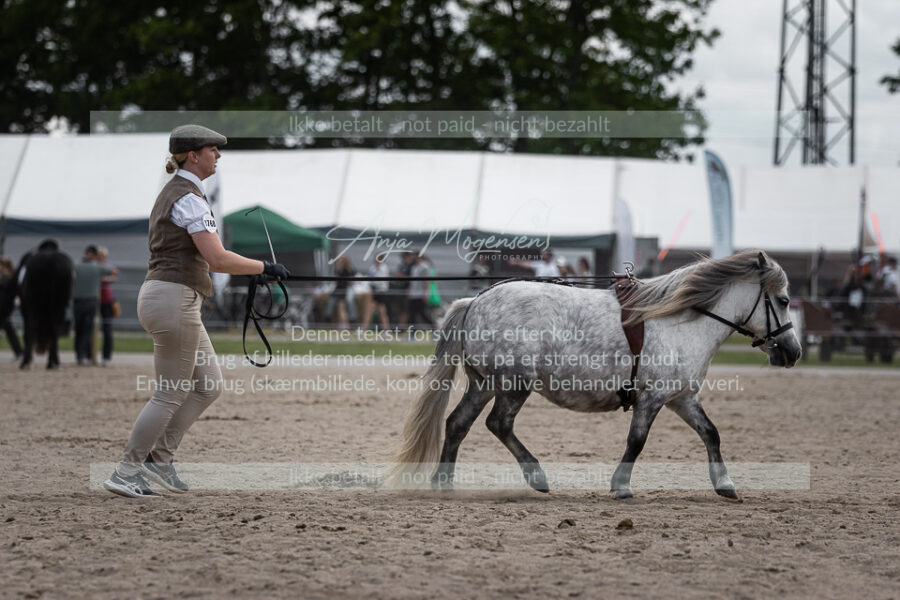 MG_6101-2