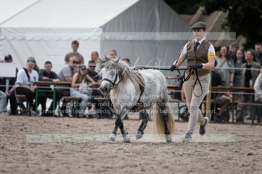 MG_6148-2