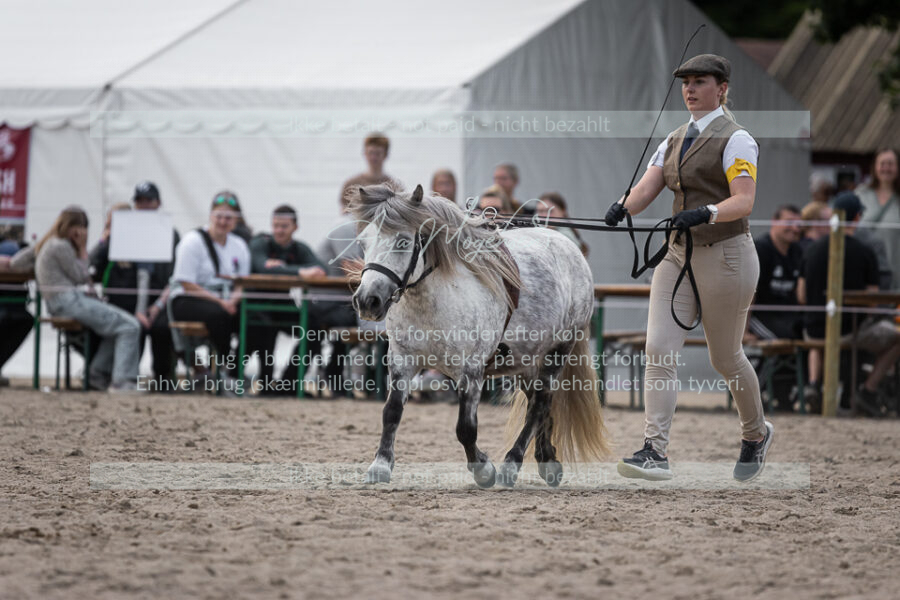 MG_6152-2