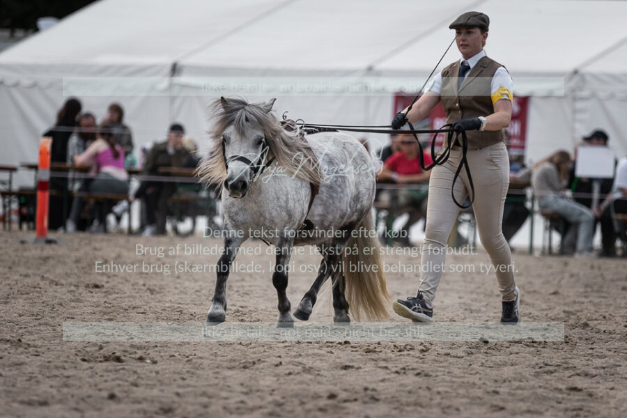MG_6164-2